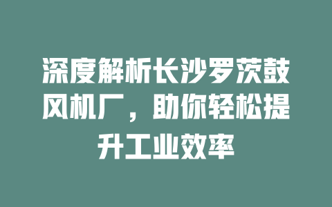 深度解析長沙羅茨鼓風機廠,助你輕松提升工業效率 一