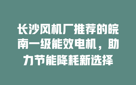 長(zhǎng)沙風(fēng)機(jī)廠推薦的皖南一級(jí)能效電機(jī),助力節(jié)能降耗新選擇 一