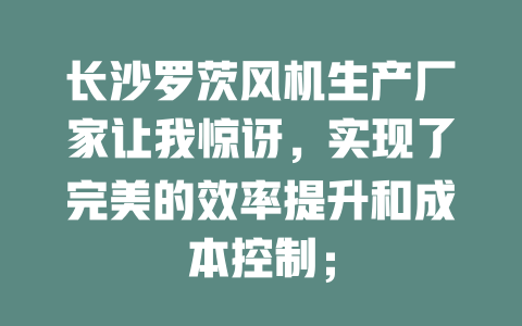 長沙羅茨風機生產廠家讓我驚訝,實現(xiàn)了完美的效率提升和成本控制; 一