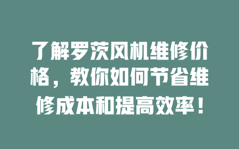 了解羅茨風機維修價格,教你如何節(jié)省維修成本和提高效率! 一