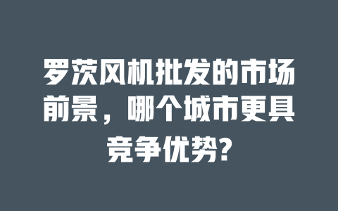 羅茨風機批發(fā)的市場前景,哪個城市更具競爭優(yōu)勢? 一